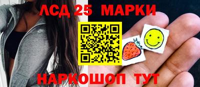 шишки Кингисепп