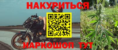 шишки Кингисепп