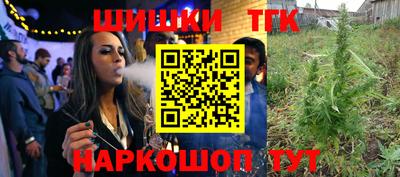 шишки Кингисепп