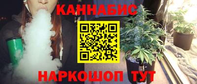 шишки Кингисепп