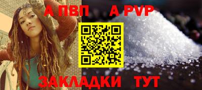 шишки Кингисепп
