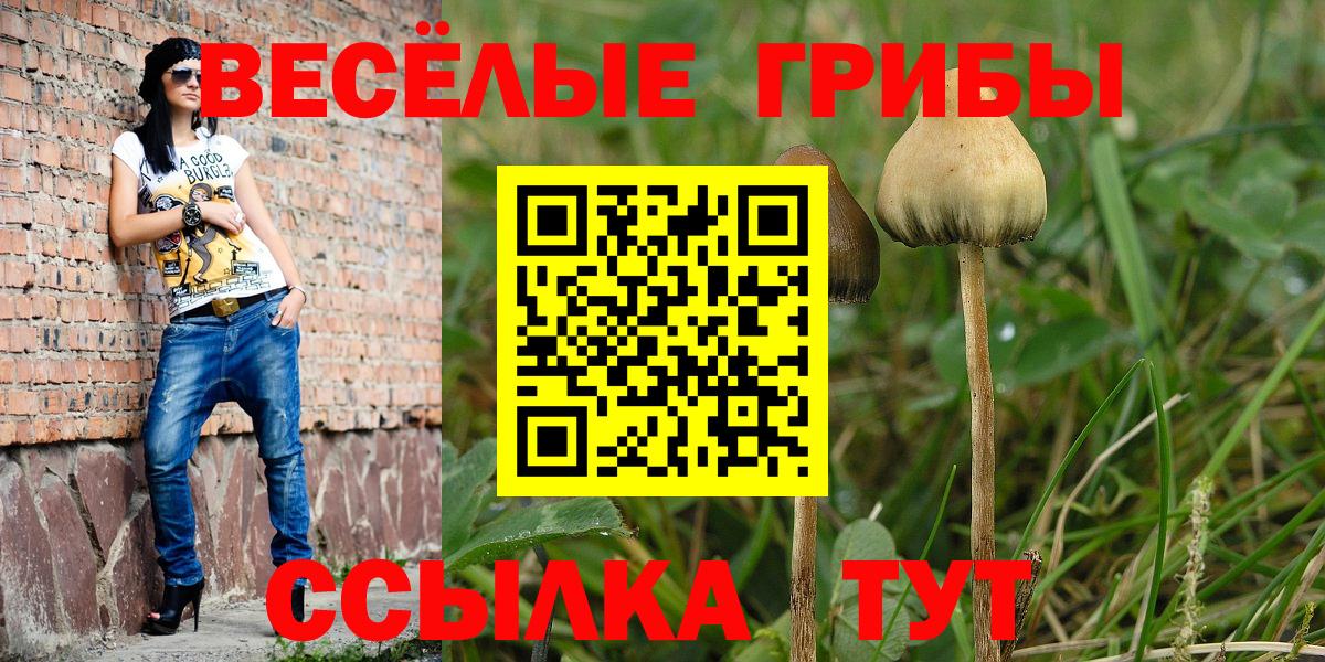Корсаков  Галлюциногенные грибы Cubensis  Вход с VPN 